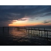 Jennifer Scranton-Montgomery's photo