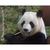Kristi Gilleland's photo