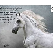 Foto di Ann Mansfield