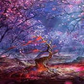 Katherine Ksander's photo