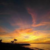 Racha Jamil's photo