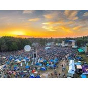 Tim Hope's photo