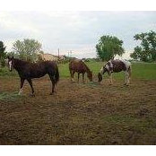 Ron Williams Sr.'s photo