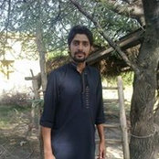 Muhmmad Naveed's photo