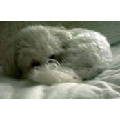 Janet Carter's photo