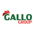 Foto di profilo di Gallo Group Srl