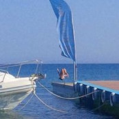 Foto von Andrée Palmer