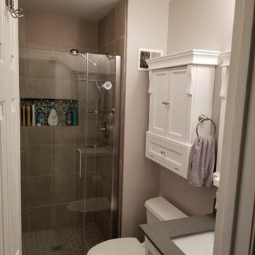 Master Bathroom and Shared bathroom Remodel