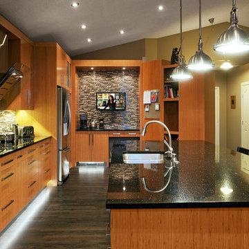 Contemporary Kitchens