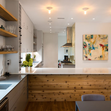Cemento Silestone Quartz Countertops