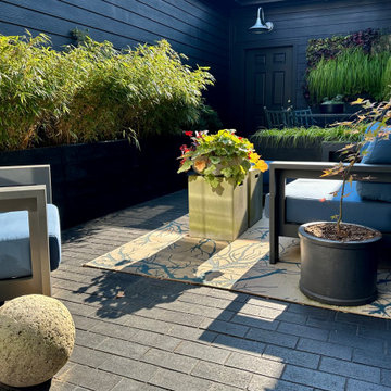 Davidson Courtyard Reimagined As An Immersive Experience
