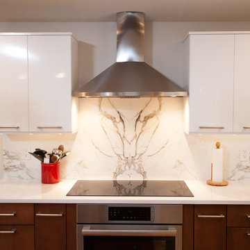 Contemporary Renovation