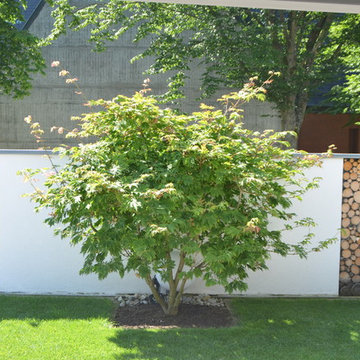 Innenstadtgarten