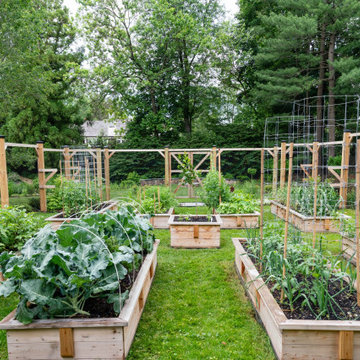 Vegetable Gardens