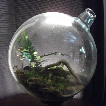 Tabletop Terrarium Gazing Ball