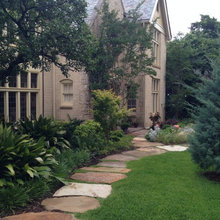 North Oak Cliff - old cedars and new natives