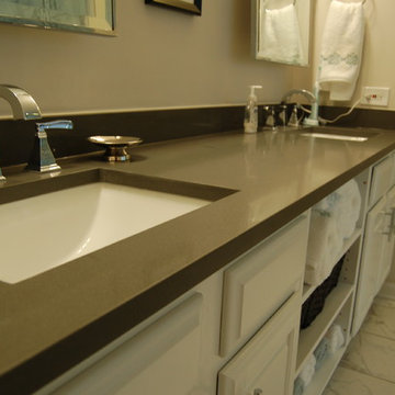 Vernon Hills Master Bathroom