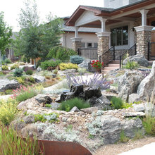Front Yard No Grass