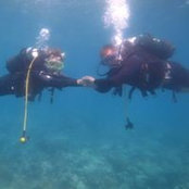 James Shearer's photo