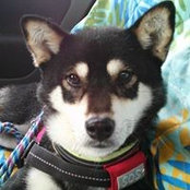 Yasuko Kitami's photo