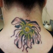 Crystal Stokes's photo