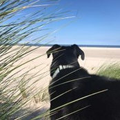 Jen Brus foto