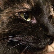 Christy Williams-Rivera's photo