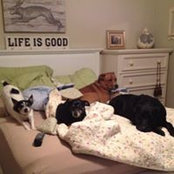 Carole Rocha Mills's photo