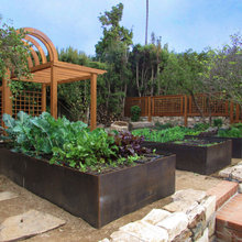 Vegetable Garden