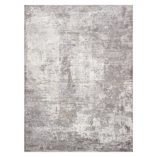 https://st.hzcdn.com/fimgs/2df124220514897f_9701-w320-h320-b1-p10--contemporary-area-rugs.jpg