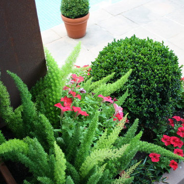 Mnt Eliza Garden