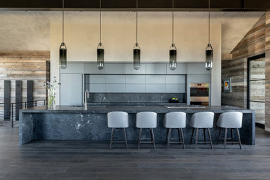 Inspiration for a contemporary kitchen remodel in Other