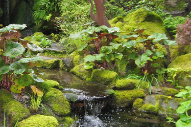 Design ideas for a landscaping in Seattle.