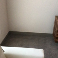 elysian living room