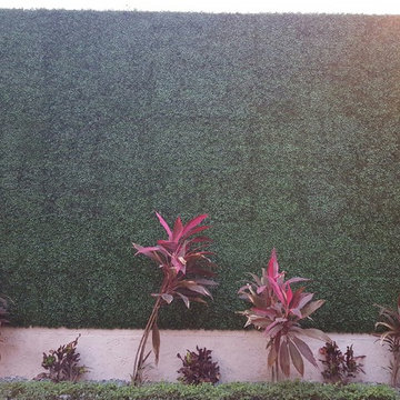 Artificial Ivy