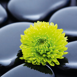 Platin Art's Deco Glass Wall Decor- Black Spa Stones - Wallpaper
