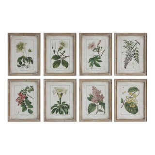 Botanical Study Leaf Berry Flower Wall Art Gold Frame Set Of 6 ~ Uttermost  33651