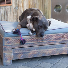 dog beds