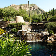 Patio Ideas