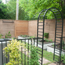 Garden backyard