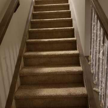 Carpet
