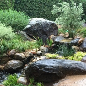 Small backyard pond