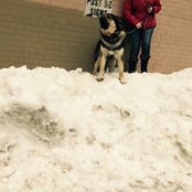 Susan Nehama's photo