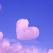 Heather Edenfield's photo