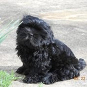 Sonya Jackson's photo