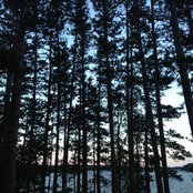 jasna frontz's photo