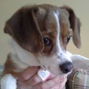 Leah Cosoi's photo