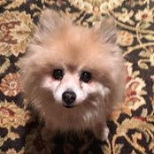 Cher Leahan's photo