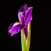 Mara Madalina's photo