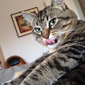 Susan Gohd's photo